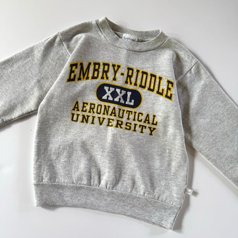 Embry-Riddle Aeronautical University - Size 7