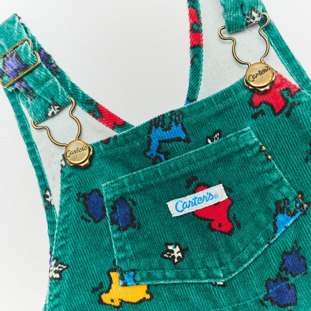Carter's Overalls - 24M
