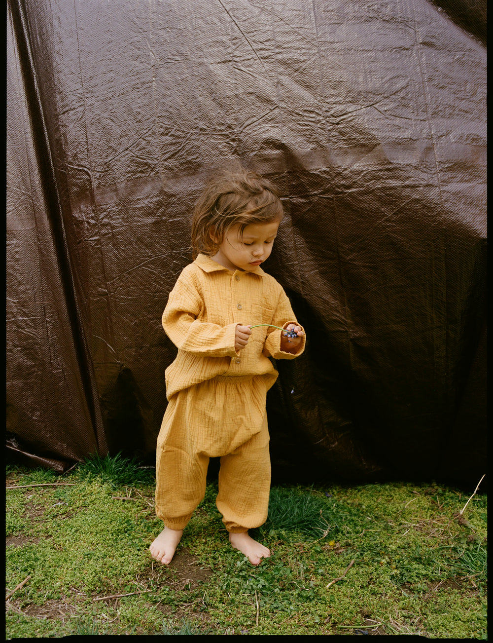 Grover Pants in Sunflower