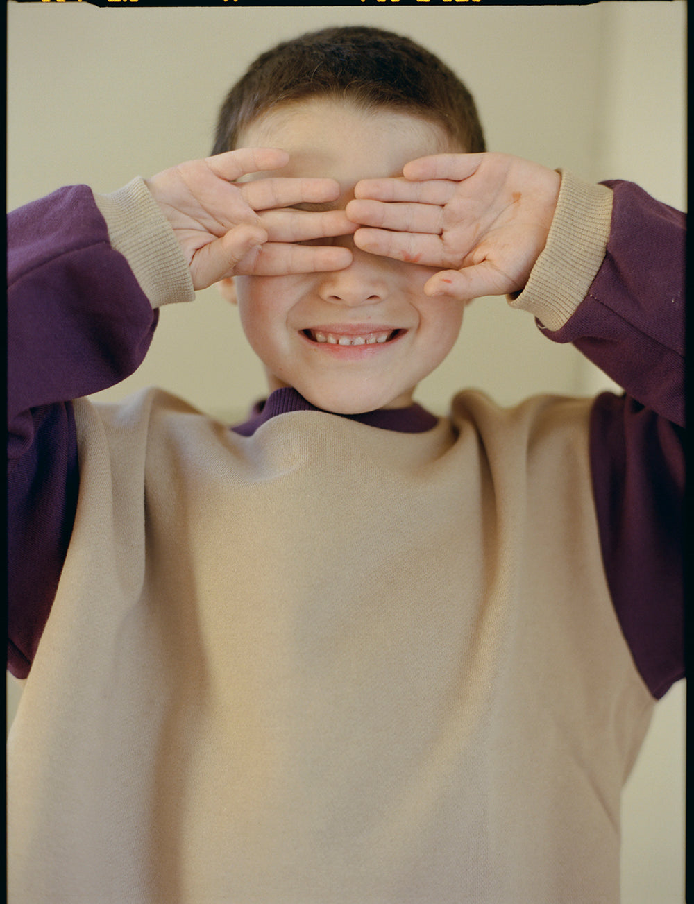 Ellis Crewneck Sweatshirt in Purple and Beige