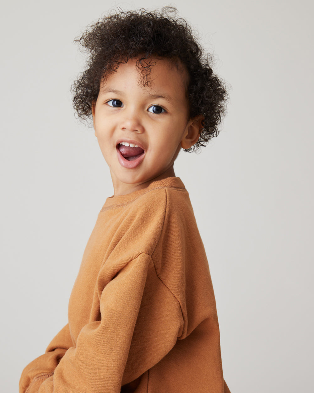 Ellis Crewneck Sweatshirt in Camel