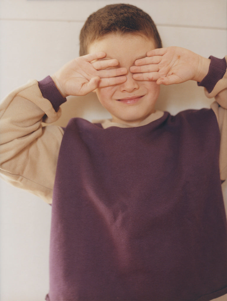 Ellis Crewneck Sweatshirt in Purple and Beige