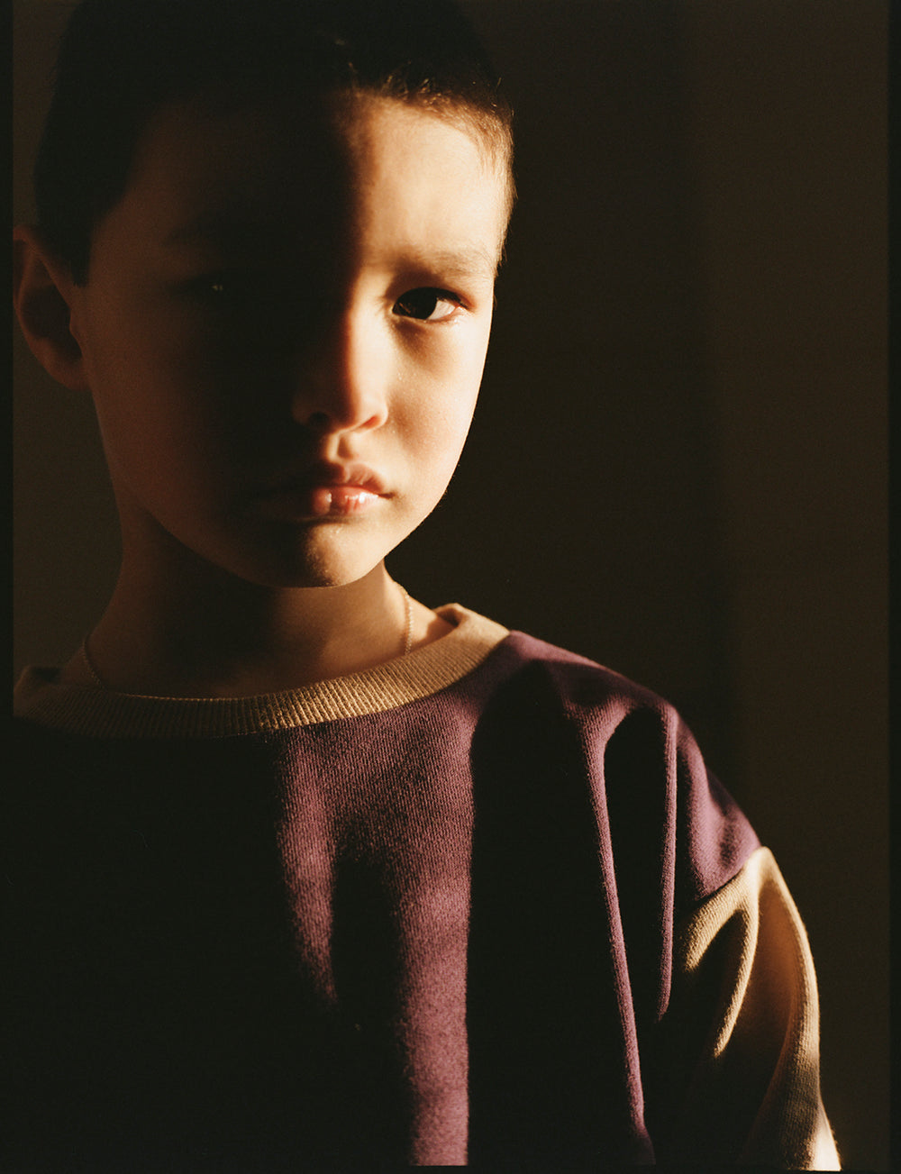 Ellis Crewneck Sweatshirt in Purple and Beige