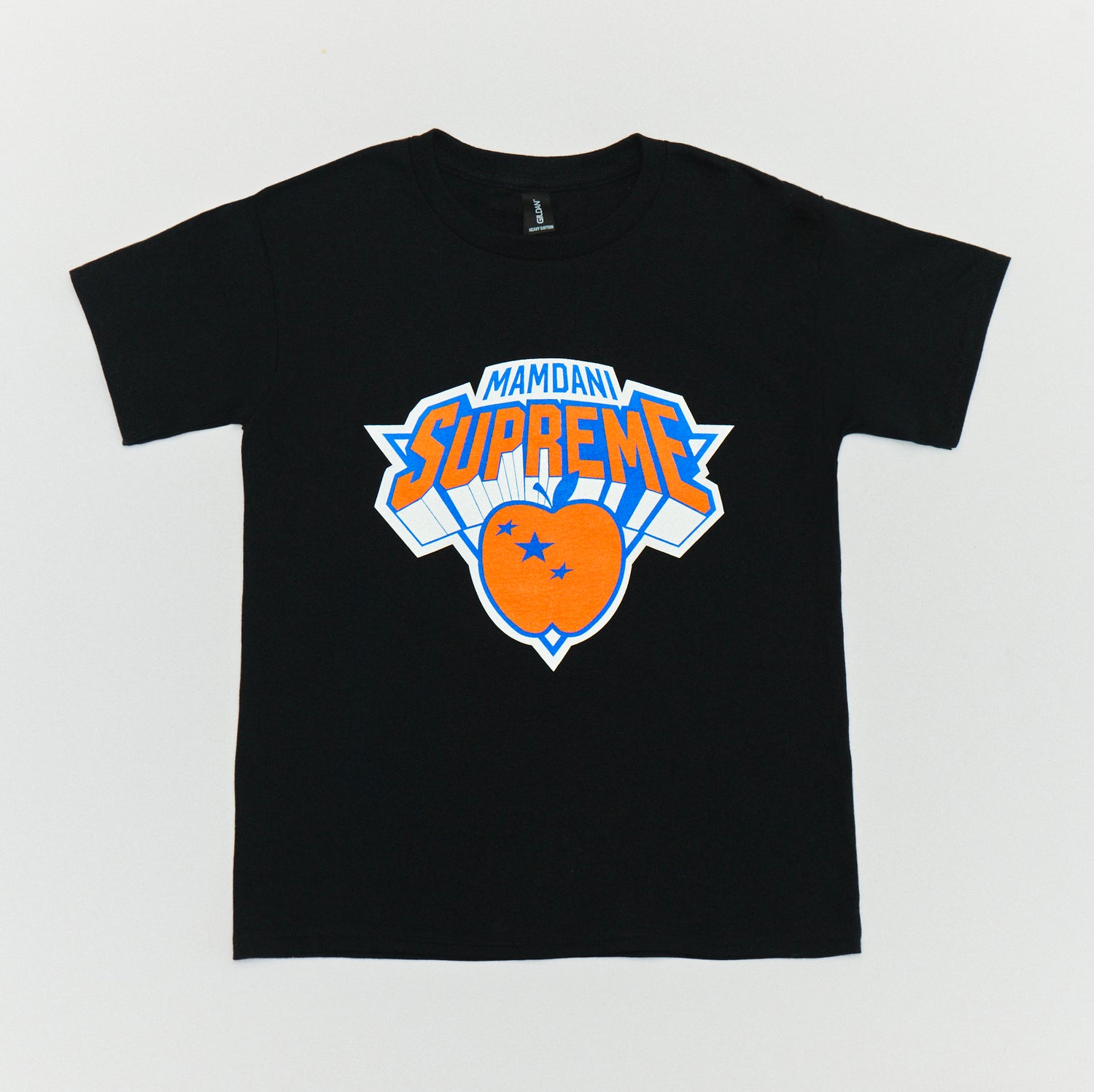 Two Bridges New York Tshirt