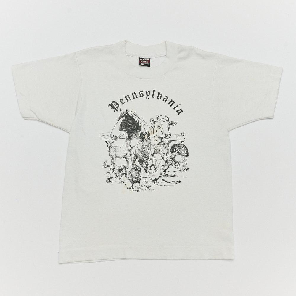 Pennsylvania - Size 7