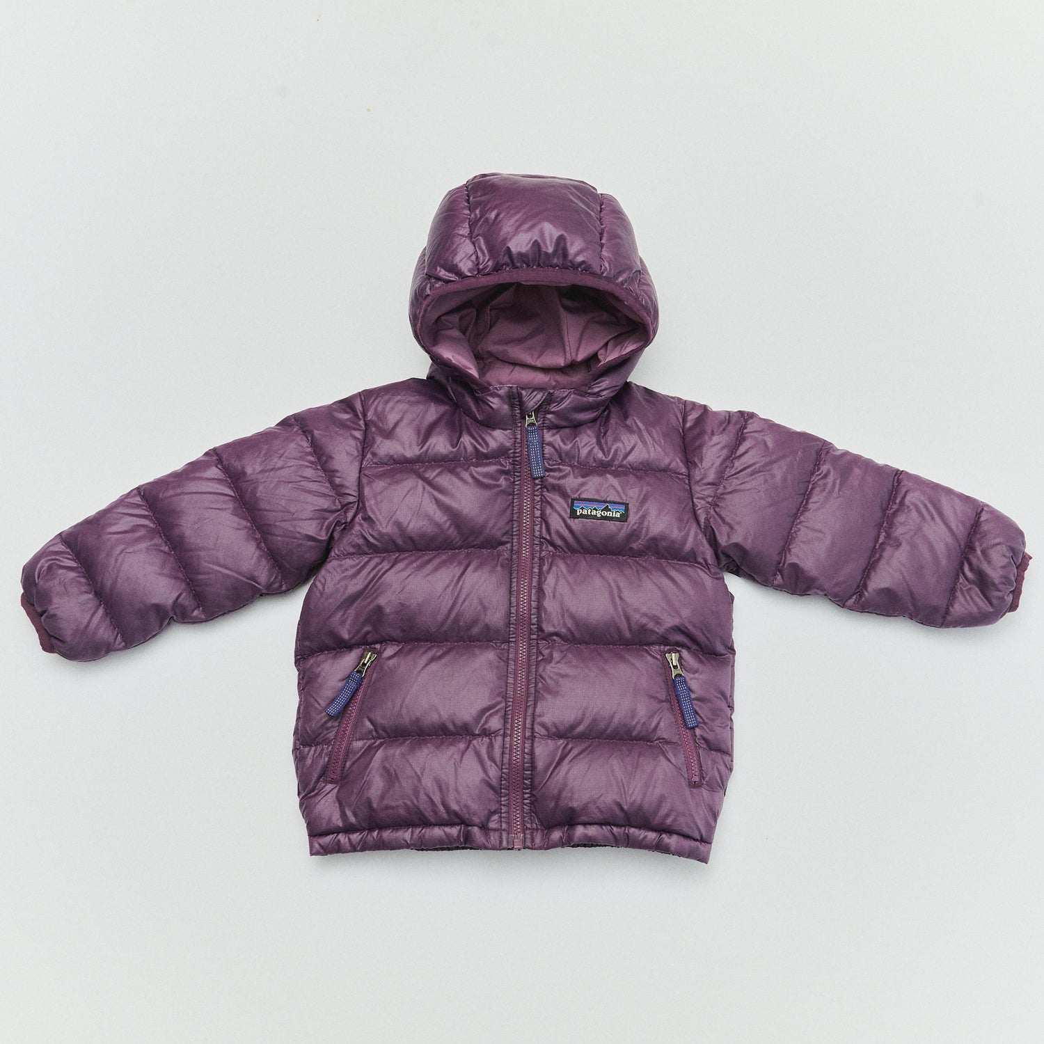 Patagonia Hi Loft Down Sweater Hoody - Size 12/18M