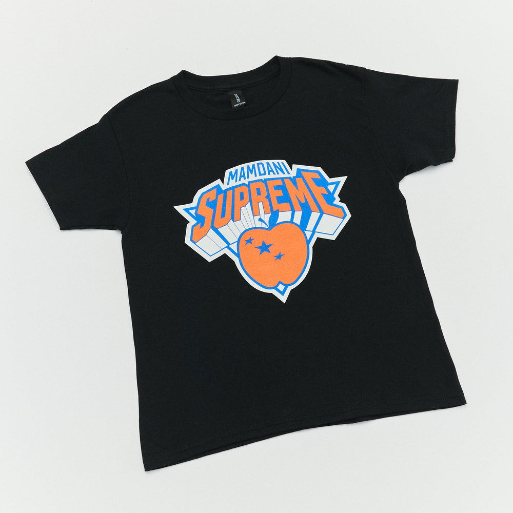 Two Bridges New York Tshirt